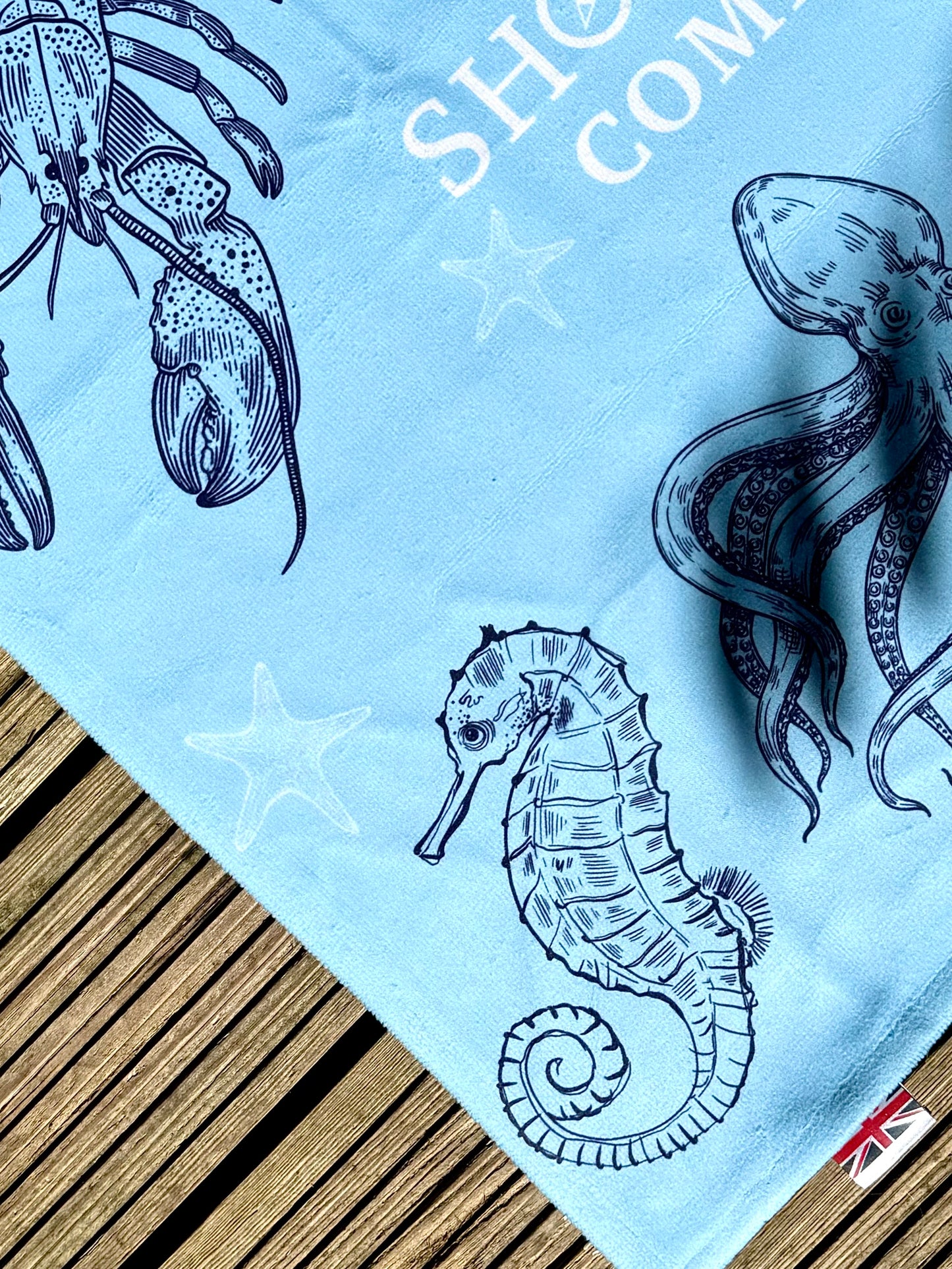 Quick Dry Cotton Beach Towel - Sea Friends - Blue